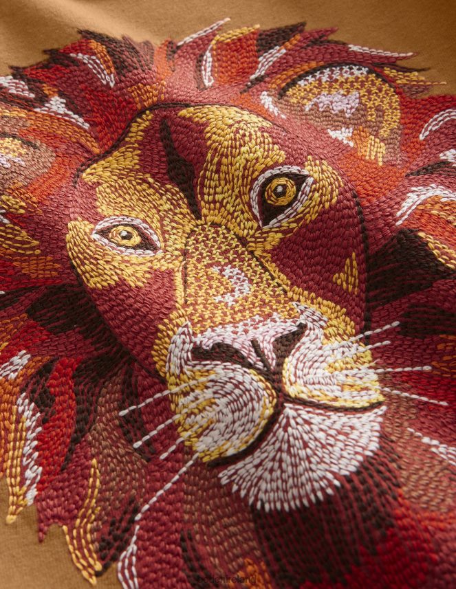 Butterscotch Brown Clothing Superstitch T-shirt Boden Girls L466L63200